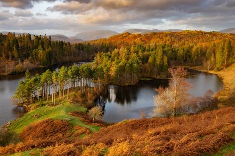 Walk: Tarn Hows, Cumbria Road Signage, Lake District Walks, Lake District National Park, Walking Routes, Photo Greeting Cards, The Lake District, Go Outdoors, Travel Images, National Trust