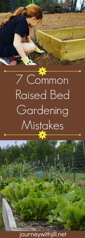 If you're planning a raised bed garden for the first time or adding to your existing beds, avoid these 7 mistakes common in raised bed gardening. Raised Bed Gardening, Funny Vine, Vegetable Garden Raised Beds, Building A Raised Garden, Plants Growing, Veg Garden, Dry Creek, Have Inspiration, Raised Bed