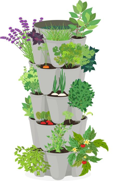 Vegetable Tower Garden, Green Stalk Vertical Garden Ideas, Stackable Garden Planters, Greenstalk Planter Ideas, Greenstalk Vertical Planter Ideas, Pot Vegetable Garden, Greenstalk Garden, Greenstalk Vertical Planter, Apartment Homestead