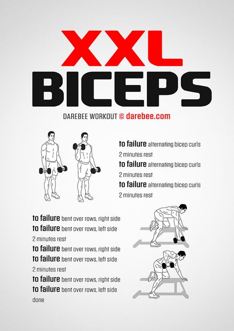 Men Workouts, Biceps Workout At Home, Big Arm Workout, Big Biceps Workout, John Bernthal, Workout Men, Gym Workout Planner, Dumbell Workout, Gym Workout Chart