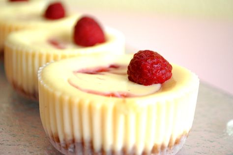 New York Baked Cheesecake, White Chocolate Cheesecake Recipes, Individual Cheesecakes, Chocolate Raspberry Cheesecake, Chocolate Cheesecake Recipes, White Chocolate Cheesecake, New York Cheesecake, Raspberry Cheesecake, Cheesecake Bars