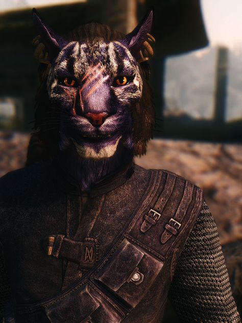 Skyrim Aesthetic Khajiit, Skyrim Inigo Fanart, Khajiit Aesthetic, Inigo Skyrim, Skyrim Bosmer, Skyrim Fanart, Uncultured Swine, Elder Scrolls Lore, Scrolls Game