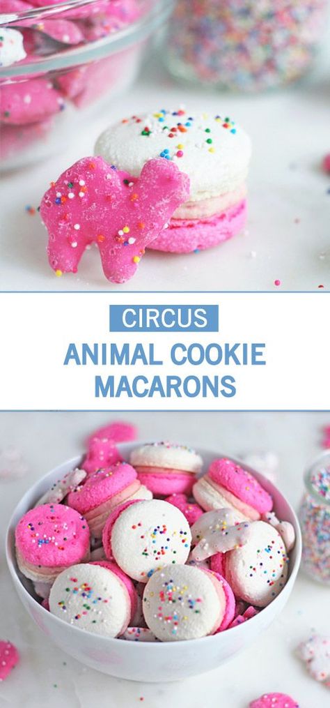 Circus Animal Cookie Macarons - Sarah Makes Sweet Treats Animal Cracker Macarons, Circus Animal Macarons, Best Macaroons Recipe, Circus Animal Cookies Recipes, Circus Macarons, Fun Macarons, Macaron Recipe Flavors, Cookie Macarons, Animal Cookies Recipe