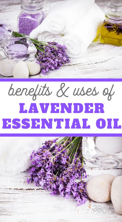 The benefits of lavender essential oil make it one of the most common essential oils. #benefitsoflavenderoil #lavenderessentialoil #3boysandadog Lavender Essential Oil Uses, Lavender Benefits, Essential Oil Safety, Air Dryer, Bug Bites, Oil Uses, Essential Oil Uses, Oil Blends, Peppermint Essential Oil