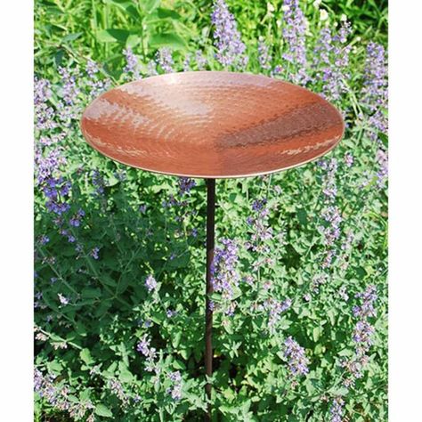 Achla Designs Polished Copper Bird Bath | Hayneedle Copper Bird Bath, Garden Poles, Landscape Structure, Bird Baths, Garden Elements, Garden Accents, Garden Soil, Garden Stakes, Bird Garden