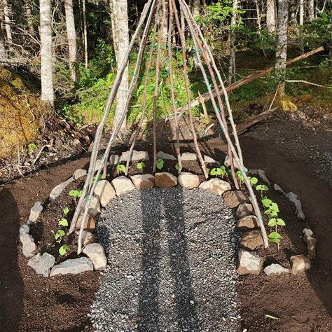 Preschool Garden, Play Garden, Sensory Garden, Veg Garden, School Garden, Garden Yard Ideas, Vegetable Garden Design, Landscaping Design, Garden Trellis