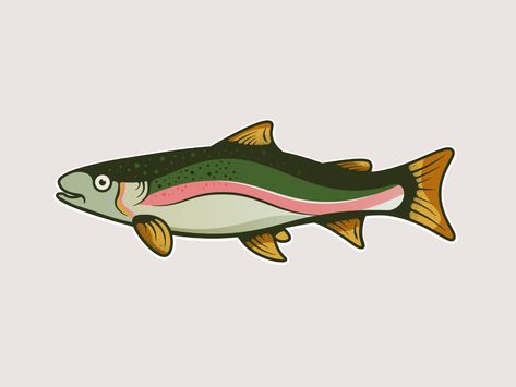 Fish Side View, Trout Tattoo, Lake Fish, Infographic Design Layout, Rainbow Trout, Freelance Work, Outdoor Art, Brand Designer, Design Layout