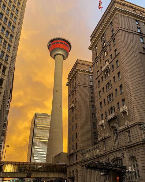 The Calgary Tower on Instagram: “Happy Friday, Calgary! (📸: @taylorpronchuk) . . #calgarytower #yyc #lifeincalgary #capturecalgary #loveyyc #yycliving #downtowncalgary…” Calgary Tower, Calgary Canada, Calgary Alberta, Cn Tower, Calgary, Travel Dreams, Happy Friday, Tower, Building