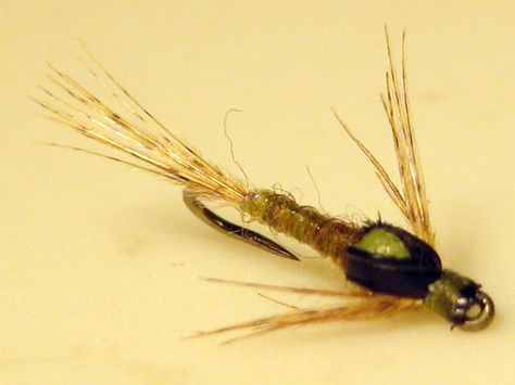 Split wing case BWO nymph Fly Fishing Colorado, Blue Winged Olive, Tying Flies, Fly Craft, Fly Fishing Lures, Fly Fishing Flies Pattern, Trout Flies, Pretty Fly, Mayfly