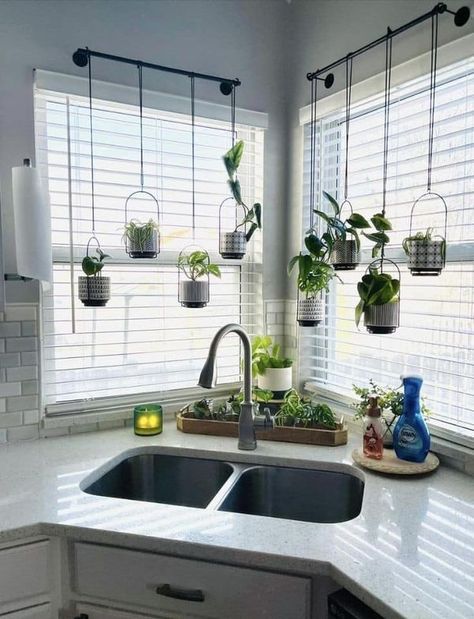 Above Sink Decor, Bedroom Schemes, Kitchen Garden Window, Over Kitchen Sink, Above Kitchen Sink, Kitchen Sink Window, Above Sink, Plants Hanging, Sink Decor