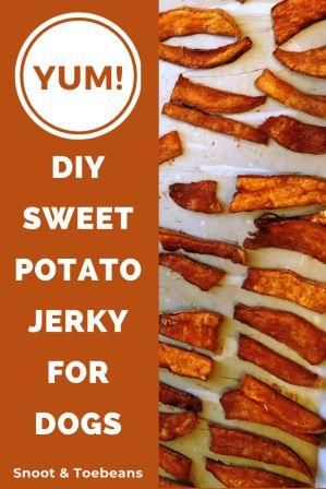 Sweet Potato Jerky For Dogs - Humans Too! | Snoot and Toebeans Sweet Potato Jerky For Dogs Dehydrator, Sweet Potato Jerky For Dogs, Yam Dog Treats, Dog Sweet Potato Chews, Diy Sweet Potato Dog Treats, Jerky For Dogs, Sweet Potato Dog Chews Air Fryer, Dehydrated Sweet Potato Dog Treats Dehydrator, Sweet Potato Chews For Dogs