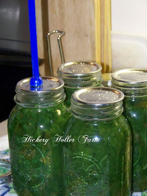 Canning Greens, Canning 101, Canning Fruit, Canning Pickles, Home Canning Recipes, Canning Vegetables, Canning Jam, Canning Food Preservation, Canned Food Storage