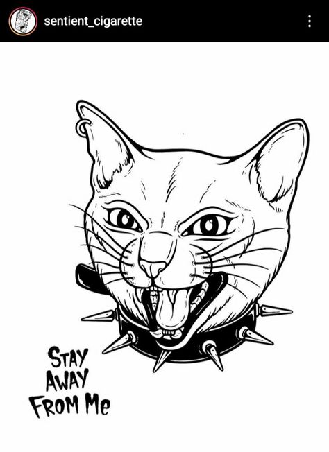 Angry Cat Tattoo, Black Cat Tattoos, Cat Tattoos, Cat Embroidery, Doodle Ideas, Angry Cat, Cat Tattoo, Cat Drawing, Tatting