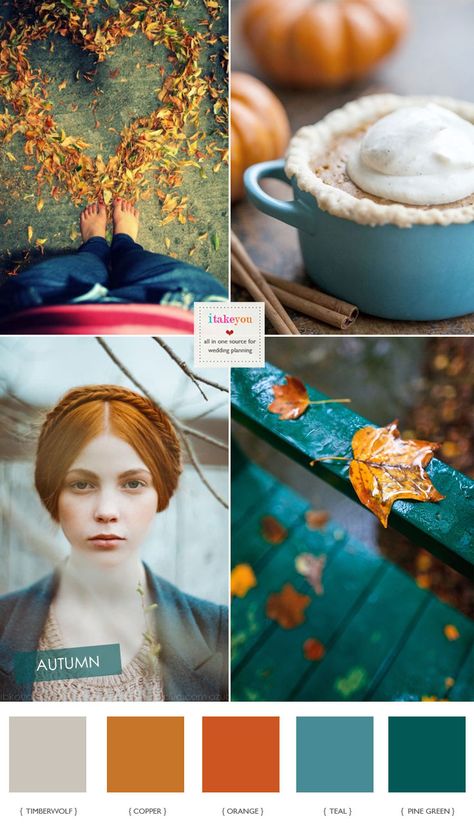 Wedding in Autumn could be special with Gorgeous Teal and Copper Autumn Wedding Colour Teal And Copper, Teal Color Palette, Kitchen Colour Schemes, Colour Combos, Grey Color Palette, Grey Color Scheme, Bedroom Color Schemes, Fall Wedding Colors, Color Inspo