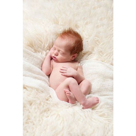 Ginger Newborn, Redhead Baby, Ginger Babies, Photography Collection, Newborn Baby Boy, Cute Photography, Newborn Pictures, Newborn Boy, Baby Photoshoot