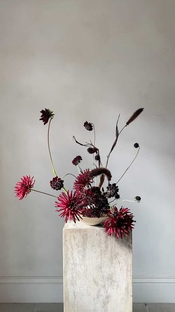 Dalia Arrangements, Red Dalia, Ikebana Flowers, Dahlia Flower Arrangements, Sogetsu Ikebana, Table Flower Arrangements, Flower Words, 귀여운 음식 그림, Flower Arrangement Designs