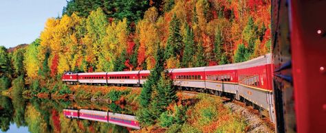 Top 5 Places in Ontario to See Fall Colours Agawa Canyon Tour Train, Michigan Trees, Drummond Island, Tahquamenon Falls, Sault Ste Marie, Lake Michigan Beaches, Famous Castles, Train Tour, Scenic Roads