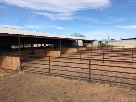 Horse Lot Ideas, Stalls With Runs Horses, Stalls With Runs, Small Indoor Horse Arena, Horse Farm Layout, Horse Pens, Covered Riding Arena With Stalls, Horse Barn With Indoor Arena, Small Horse Barns