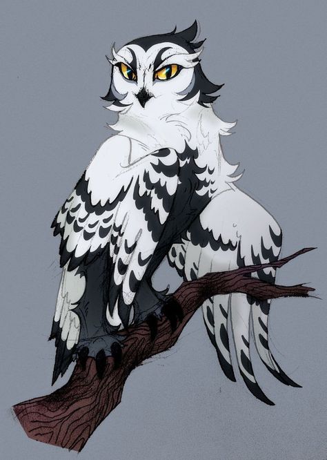 Owl Books, Owls Drawing, Fantasy Creatures Art, Mythical Creatures Art, Animal Sketches, Owl Art, Warrior Cats, Cute Animal Drawings, Magical Creatures