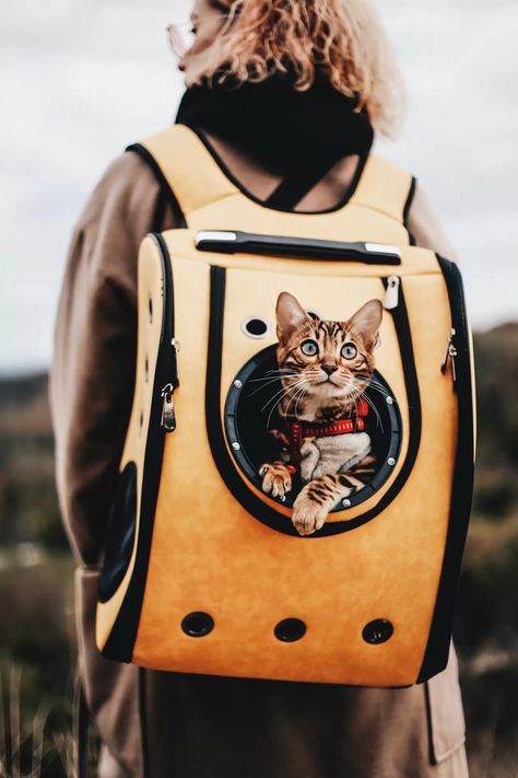 Airline Approved Pet Carrier, Camping With Cats, Cat Backpack Carrier, Cat Carrier Bag, Adventure Cat, Dream's Cat, Cat Leash, Luxury Cat, Leash Training