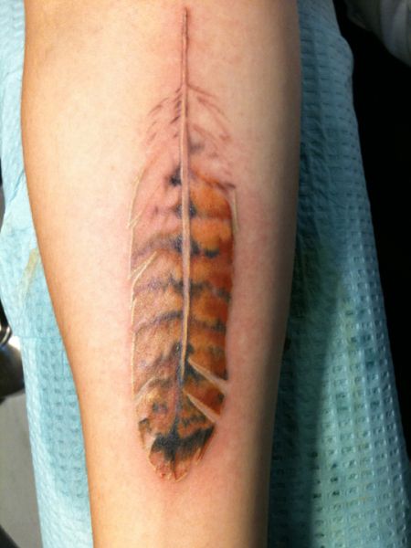 Hawk Feather Tattoo, Red Tail Hawk Feathers, Eagle Feather Tattoos, Hawk Feather, Red Tail Hawk, Feather Tattoo Meaning, Indian Feather Tattoos, Tattoo Feather, Hawk Feathers