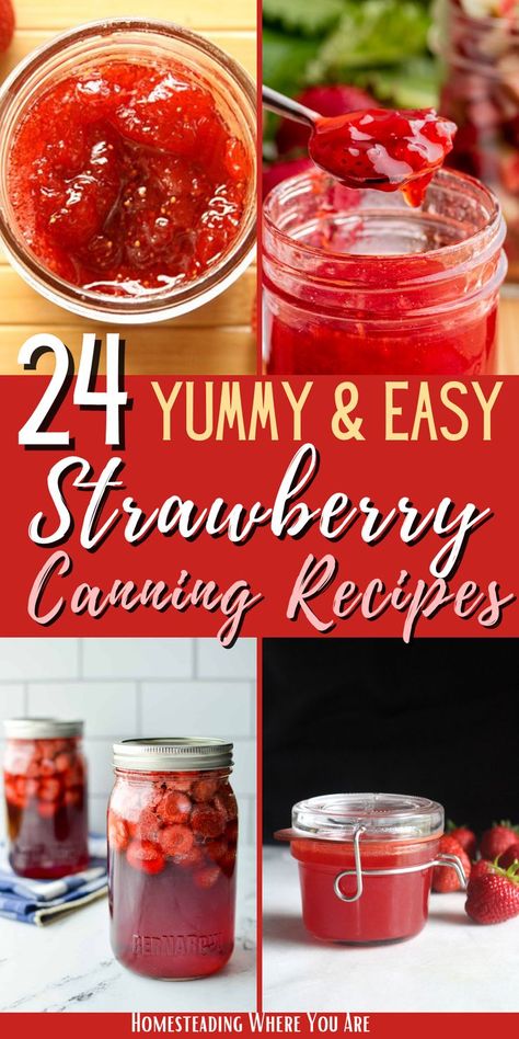 Spring and strawberries go hand-in-hand, and the short season means you need to preserve these delicate berries to enjoy all year round. Strawberries are easy for canning; here are two dozen strawberry canning recipes to enjoy. Recipes For Strawberries, Strawberry Preserves Recipe, Strawberry Canning, Strawberry Harvest, Easy Canning, Canning Salsa, Strawberry Preserves, Canning Tomatoes, Canned Tomato Sauce