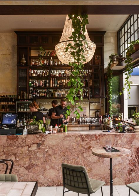 Tiberio | benchtops • stone • stone-slabs | Artedomus Architecture Restaurant, Kitchen Benchtops, Walnut Timber, Marble Bar, Stone Bar, Real Estates Design, Dining Design, Blush Tones, Bar Design Restaurant