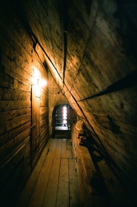 The Magicians Nephew, Sibiu Romania, Secret Passage, Secret Passages, Secret Passageways, Hidden Rooms, Attic Renovation, Story Setting, Secret Rooms