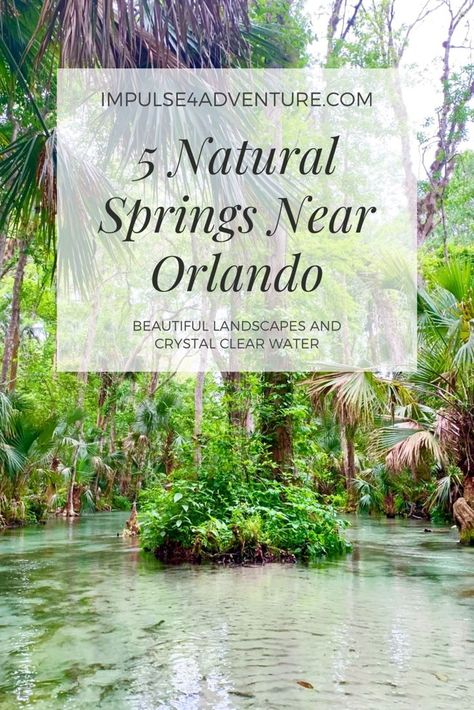 Things To Do In Orlando, Florida Theme Parks, Florida Adventures, Florida Springs, Destinations Travel, Visit Florida, Universal Orlando, Spring Nature, Florida Vacation