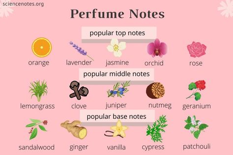 How to Make Perfume Glowing Skin Juice, Make Perfume, Smell Perfume, Essential Oil Perfumes Recipes, Perfume Notes, Jasmine Perfume, Homemade Perfume, Lavender Perfume, Flower Perfume