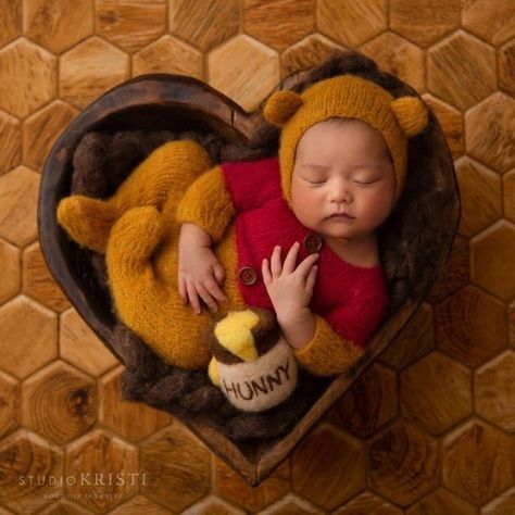 Newborn Photo Prop, Honey Pot, Winnie Honey Pot, Wool Baby Props, Felt Pot of Honey - Etsy Canada Winnie The Pooh Newborn Photography, Winnie The Pooh Newborn Pictures, Winnie The Pooh Maternity Photo Shoot, Winnie The Pooh Photo Shoot, Felt Pot, Newborn Shoots, Pooh Nursery, Milestone Photography, Foto Newborn