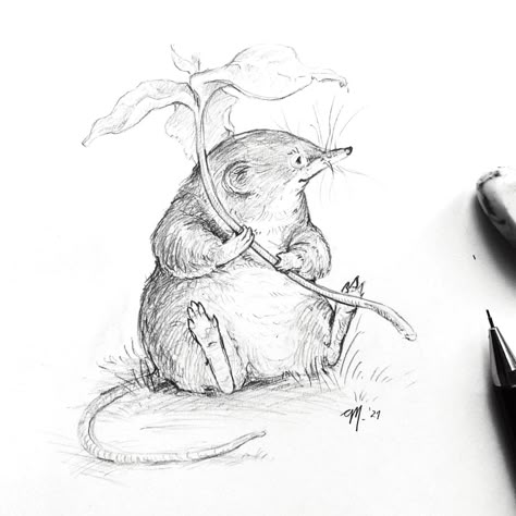 Ewa Mąka (@ewamaka.art) • Instagram photos and videos Shrew Tattoos, Mice Sketch, Shrew Drawing, Mouse Drawings, Shrew Illustration, How To Draw A Mouse, Rat Drawing, Rats Drawing Sketches, Rat With Wings Drawing