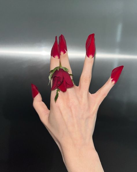 Rose Petal Nails, Petal Nails, Real Rose Petals, Roses Red, Real Rose, Rose Nails, Funky Nails, Creative Nails, Nails Nails