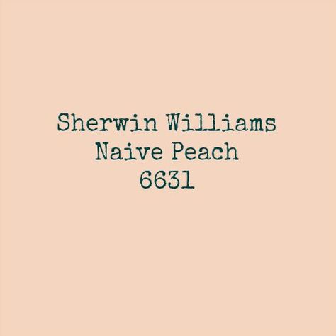 Sherwin Williams Naïve Peach 6631 Paint Sample Peach Paint Colors, Peach Bedroom, Peach Bathroom, Peach Paint, Peach Walls, Cream Paint, Peach Cream, Sherwin Williams Paint Colors, Room Color