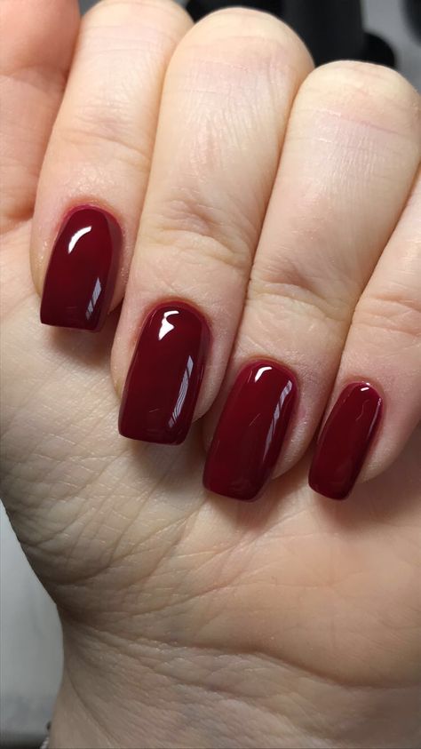 Short Work Nails Red, Short Square Dark Red Nails, Gel Nails Dark Red, Squoval Red Nails, Square Dark Red Nails, Christmas French Manicure Nails, Maroon Short Nails, Short Maroon Nails, Red Medium Nails