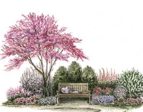 Flower Garden Plans, Backyard Getaway, Garden Nook, Backyard Garden Layout, Redbud Tree, Garden Plan, Garden Design Layout, Cottage Garden Plants, Perfect Backyard