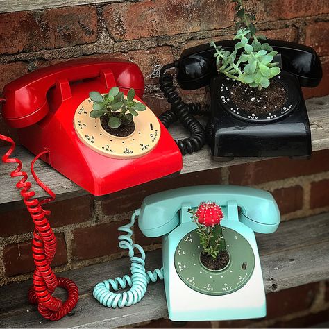 Looking for something extremely unique for your dorm room or new apartment? How cute are these repurposed rotary phone planters! Sam aka… Rotary Phone Decor, Vintage Pots, Phone Table, Repurposed Art, Painting References, Upcycle Ideas, Winter Beach, Rotary Phone, Retro Phone