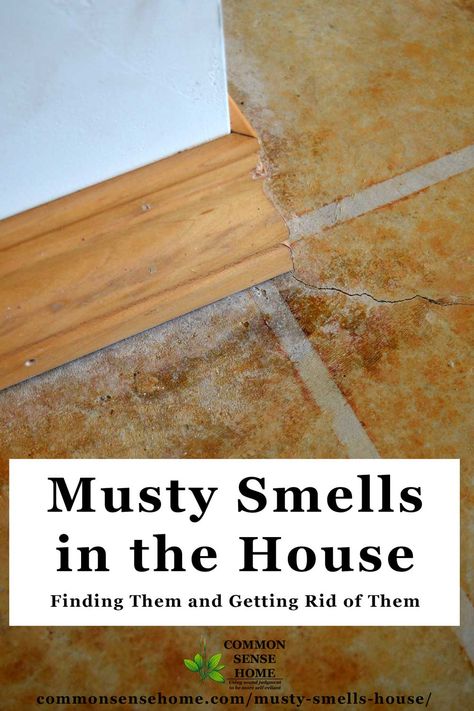 Musty Smell In House, Old House Smells, Basement Odor, Mold Smell, Carpet Smell, Mildew Smell, House Smell Good, Bathroom Smells, Feminine Health