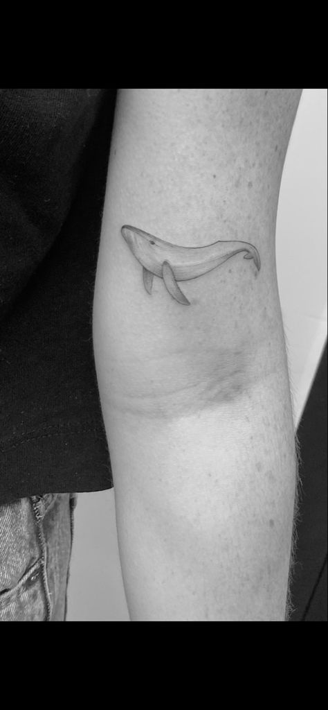 Humpback Whale Tattoo Fine Line Whale Tattoo, Humpback Whale Tattoo, Whale Tattoo, Whale Tattoos, Cute Whales, Stick And Poke, Humpback Whale, Blue Whale, Line Tattoos