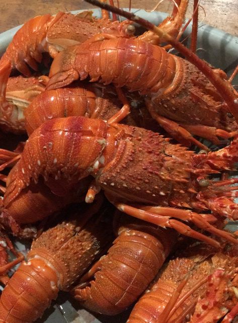 Lobster Aesthetic, Aesthetic Seafood, Portuguese Recipes, Sea Food, Food Obsession, Sea Animals, 18th Century, Nom Nom, Healthy Food