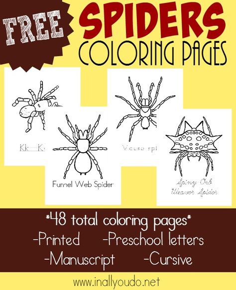 Types of Spiders Coloring Pages – In All You Do Spiders Preschool, Homeschooling Science, Spider Theme, Types Of Spiders, Spider Coloring Page, Don't Bother Me, Creepy Crawlers, Insects Theme, Homeschool Freebies