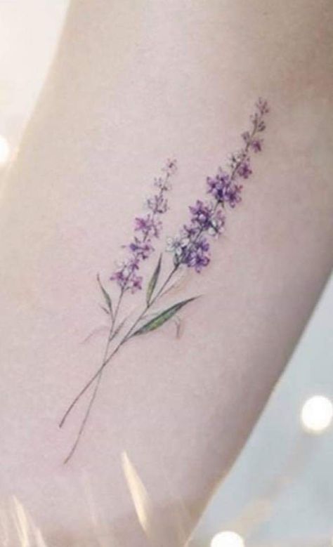 Larkspur And Lavender Tattoo, Spine Tattoos For Women Lavender, Wildflower Tattoo With Lavender, Small Lavender Bouquet Tattoo, Lavender Tattoo Ribs, Sophia Tattoo, Fine Line Flower Tattoo Lavender, Sprig Of Lavender Tattoo Simple, Larkspur Tattoo