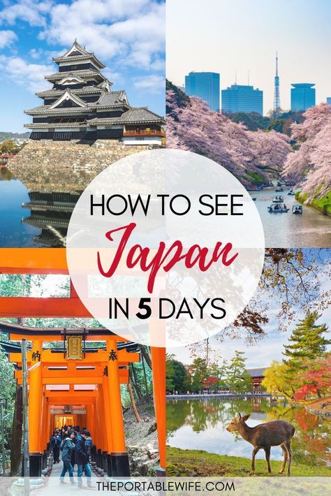 5 Days In Tokyo Japan, 5 Days In Japan, 4 Days In Japan, 5 Days In Tokyo, Solo Trip To Japan, Tokyo 5 Days Itinerary, Japan Budget, Japan Planning, Planning 2025