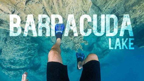 Barracuda Lake, Coron Island, Coron Palawan, Dive Shop, Island Tour, Coron, Beneath The Surface, Island Hopping, Palawan