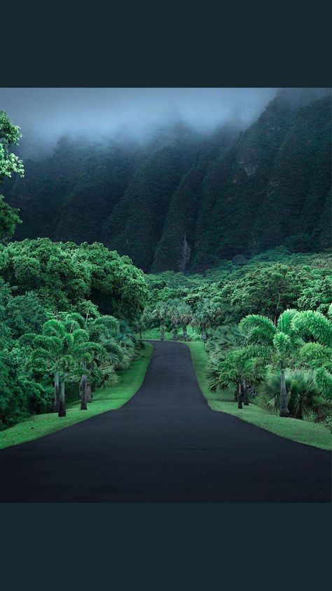 Koolau Mountains, Hawaii Koolau Mountains Hawaii, Koolau Mountains, Hawaii Mountains, Lomi Lomi, Empty Road, Hawaii Usa, Hawaii Life, Arizona Travel, Beautiful Sites