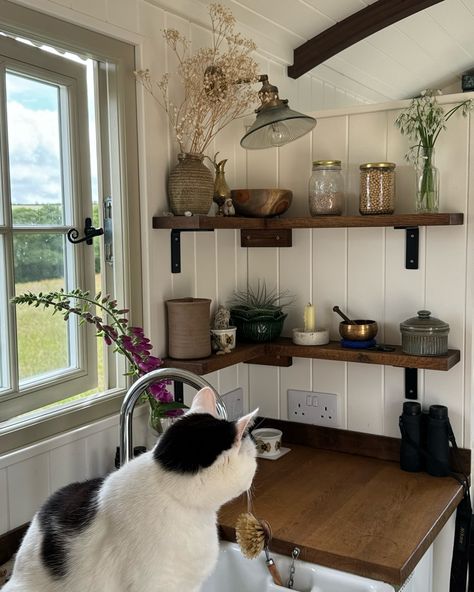 Recent moments from my little slice of the Cornish countryside 🤍 Cornish Cottage Interior, Novia Scotia, Cornish Cottage, Cottage Interior, Whole Heart, Cottage Kitchen, Cornwall, Cottage, Apartment