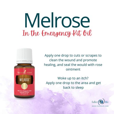 Melrose Essential Oil Young Living, Young Living Melrose, Melrose Essential Oil, Essential Oil Combinations, Yl Oils, Yl Essential Oils, Witch Doctor, Young Living Oils, Oil Uses