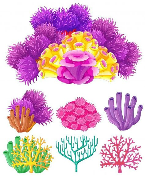 Coral Reef Drawing, Coral Drawing, Coral Painting, Sea Plants, Coral Art, Underwater Art, Coral Design, Fish Drawings, Drawing Projects