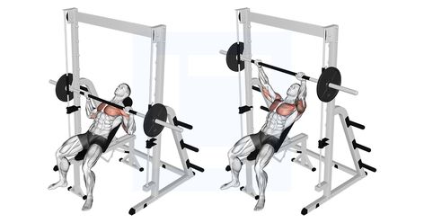 Bench Press Variations, Db Bench Press, Bench Press Form, Bench Press Muscles Worked, Dumbell Incline Bench Press, Incline Bench Press, Inclined Dumbell Bench Press, Gym Back Workout, Incline Bench