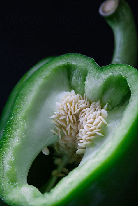 Bell Pepper Aesthetic, Bell Pepper Photography, Alkaline Vegetables, Peppers Painting, Healthy Pepper Steak Recipe, Recipes With Banana Peppers, Painting Themes, Macro Food Photography, Macro Food